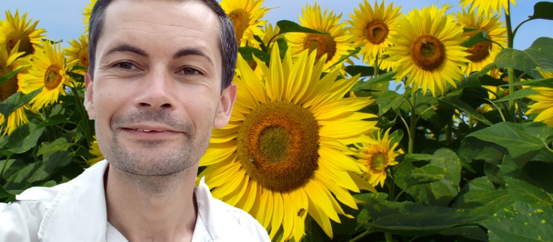 La fabuleuse histoire du Tournesol du Gers