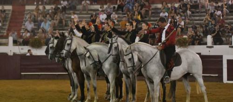 Chevaux et passions du Sud aux arènes, vendredi 
