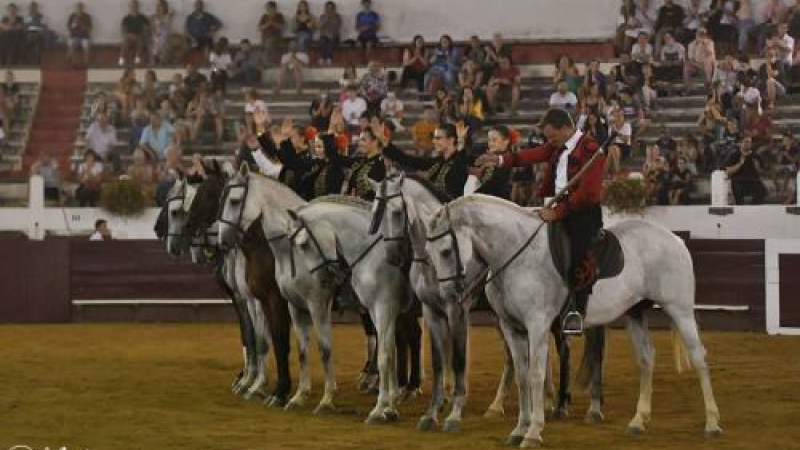 Chevaux et passions du Sud aux arènes, vendredi 