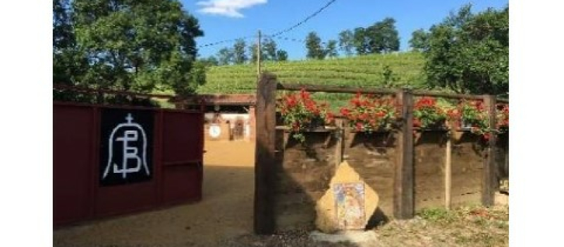 Tienta et grillades dans les arènes du Lartet