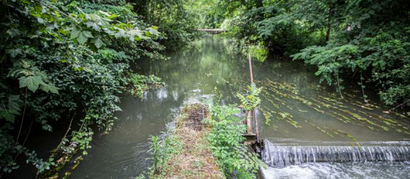 L’eau est l’affaire de tous, il faut l'économiser pour mieux la partager!