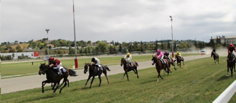 Grand meeting à l’Hippodrome les 13 et 14 septembre
