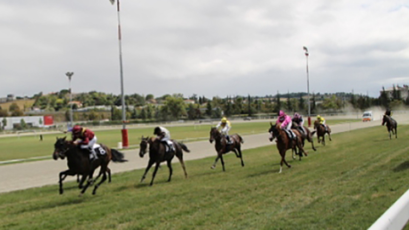 Grand meeting à l’Hippodrome les 13 et 14 septembre