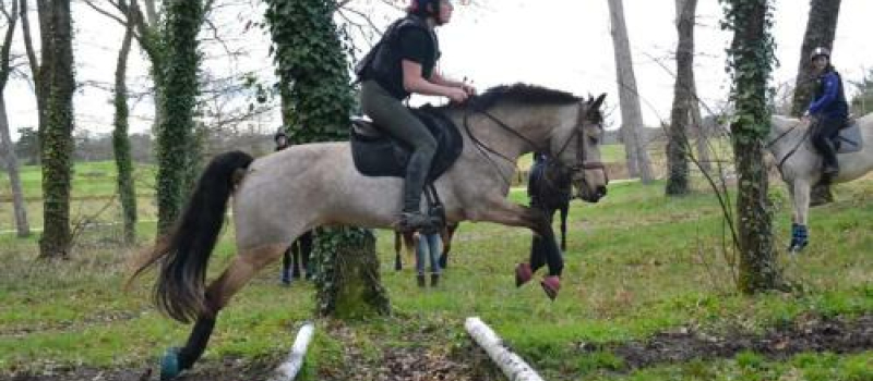 Concours officiel de derby eventing au centre équestre vicois
