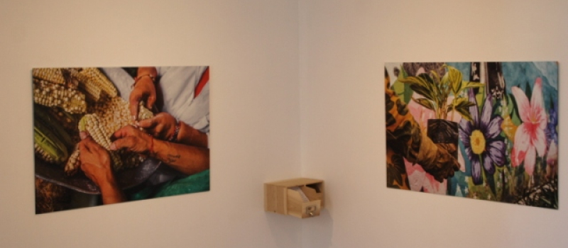 Expo photo à tiroirs de Julie Imbert au musée des Amériques