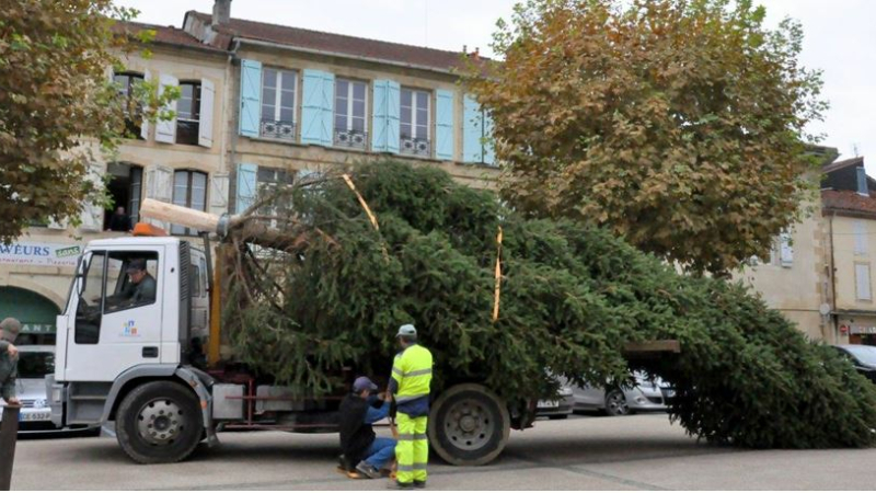 La ville recherche son sapin de Noël