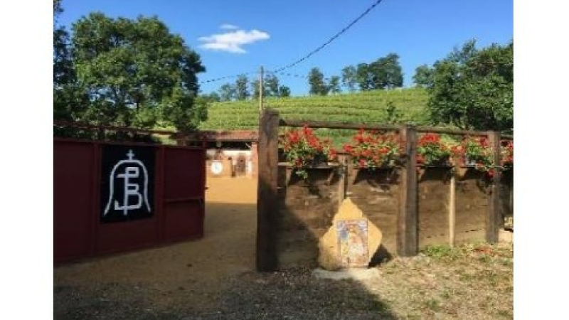 Tienta de Machos aux arènes du Lartet
