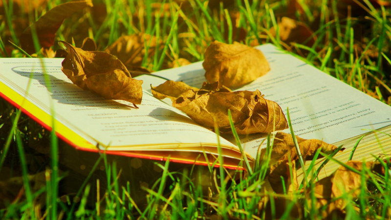 À vos marque-pages !