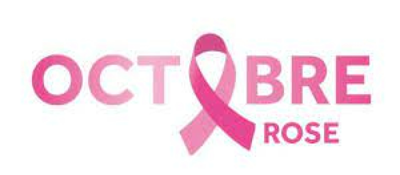 Octobre Rose 2020, Le Comité départemental de la Ligue contre le cancer du Gers se mobilise