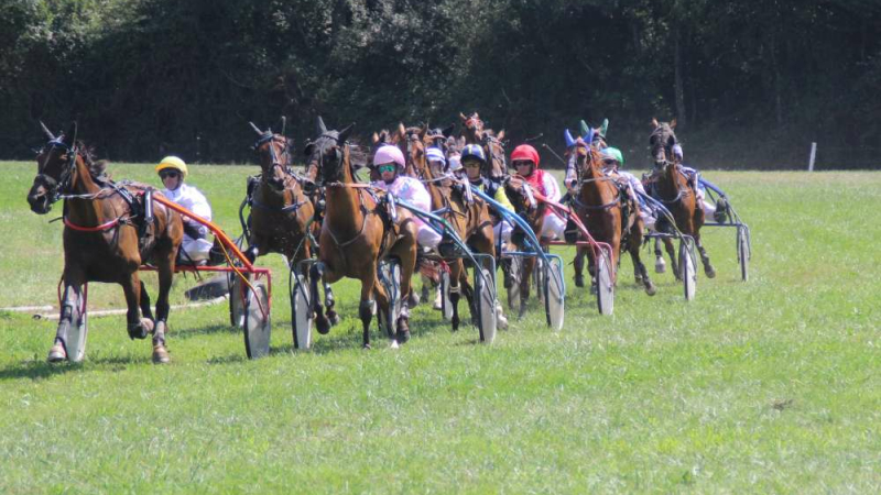 Courses de chevaux et repas
