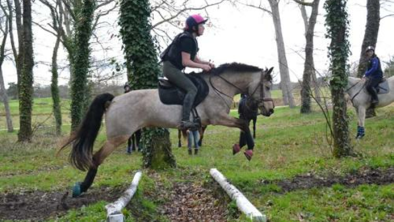 Rappel : concours officiel de Derby Eventing au centre équestre vicois
