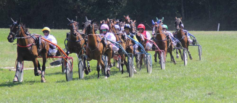 Courses de chevaux annulées