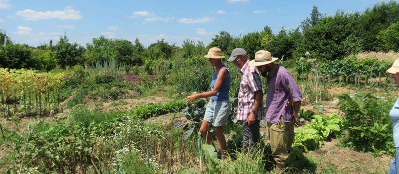 Quand le jardin se prépare à hiverner