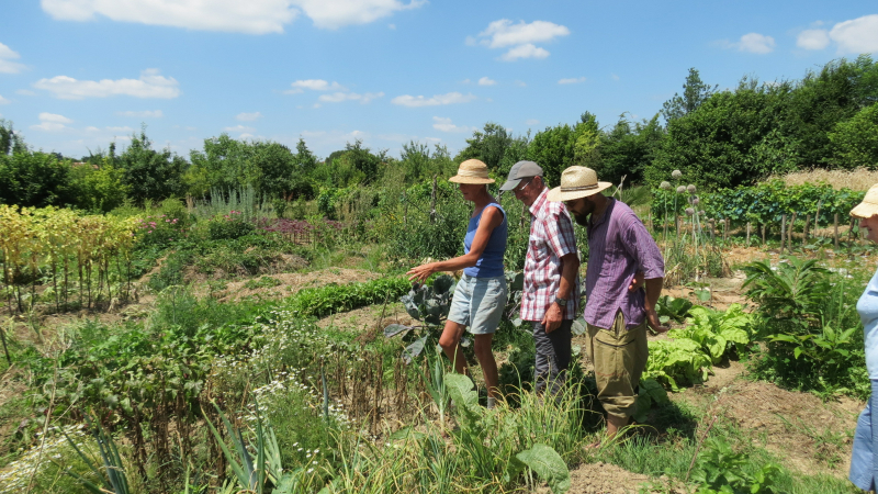 Quand le jardin se prépare à hiverner