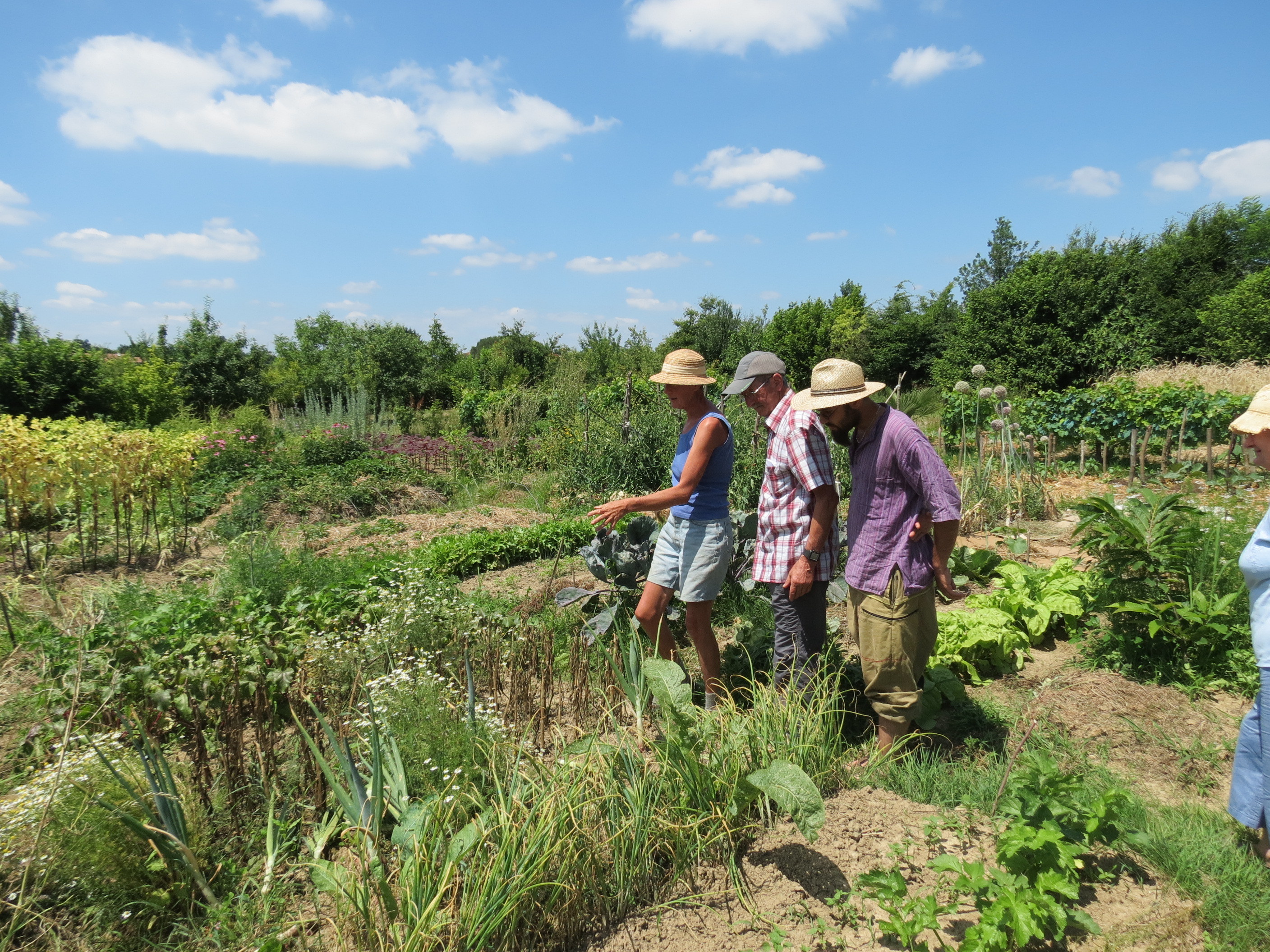 Quand le jardin se prépare à hiverner .crédit photo illustration archives asso Pierre et Terre Riscle