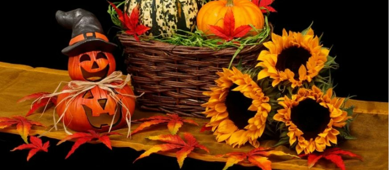 La rue Alexandre Laffont fête Halloween