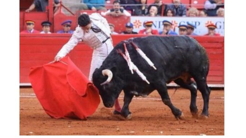 Report du festival taurin caritatif  de Samadet au dimanche 20 décembre