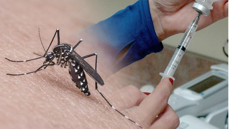 Suspicion de cas de dengue