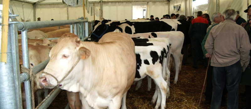 La foire de Riscle s’adapte pour cette édition 2020.