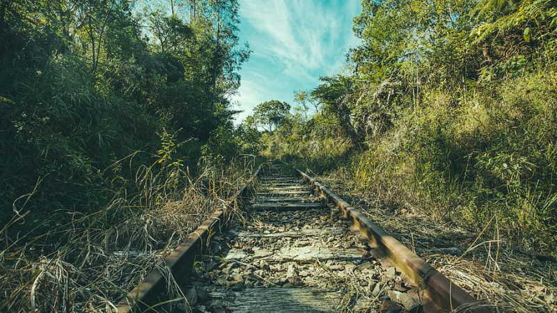 Le rail : la solution écologique d’avenir