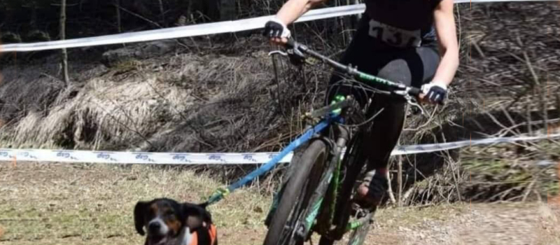 Cani'Oxy'Gers, une première dans le département