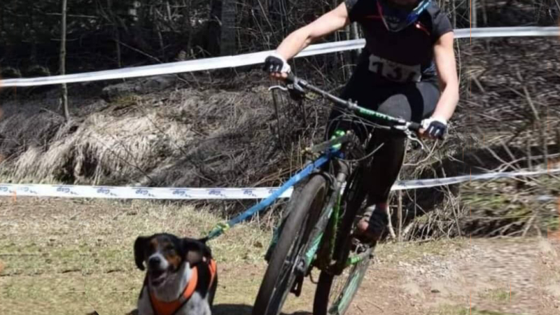 Cani'Oxy'Gers, une première dans le département