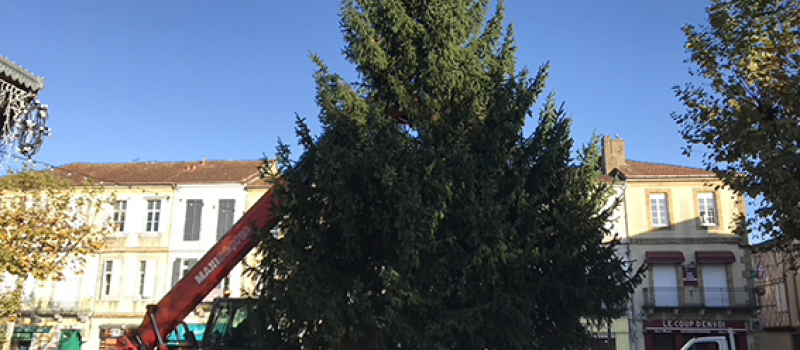 Le sapin en place