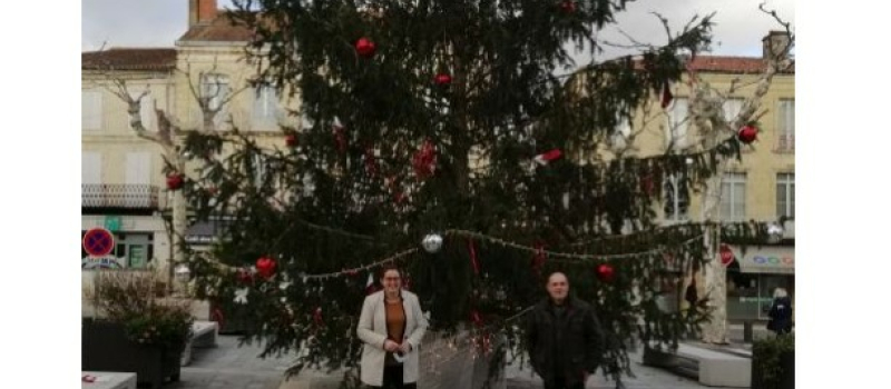Le sapin de Noël de la mairie: un sapin aux plusieurs vies