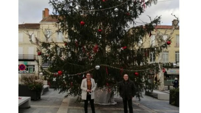 Le sapin de Noël de la mairie: un sapin aux plusieurs vies