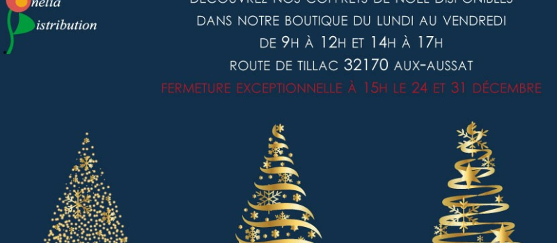 Onélia Distribution : la boutique de Noël à l’italienne.