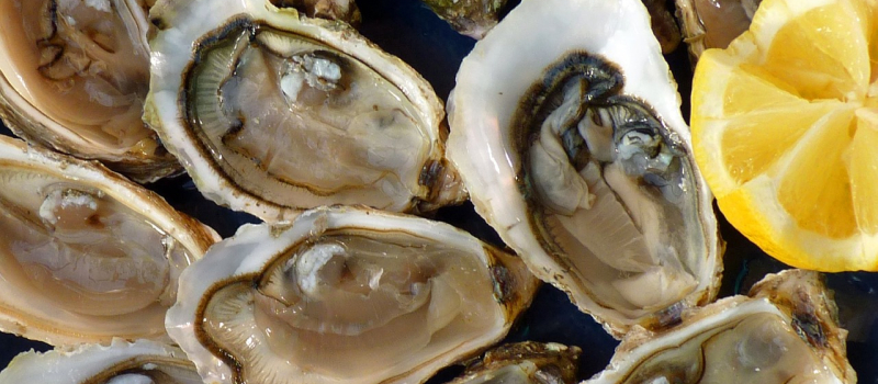 Des huitres à la boucherie