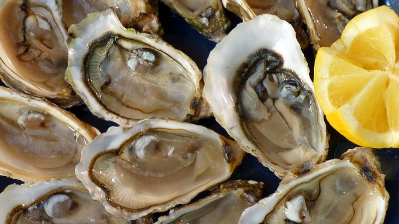 Des huitres à la boucherie