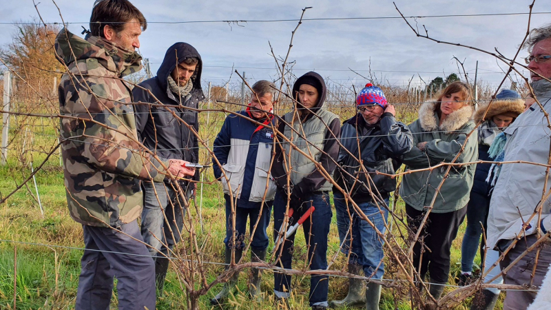 L’expertise d’un viticulteur gersois 