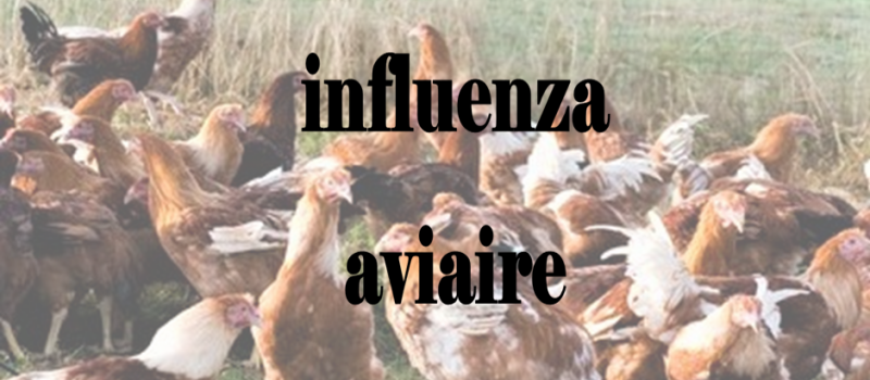 Toujours un virus !