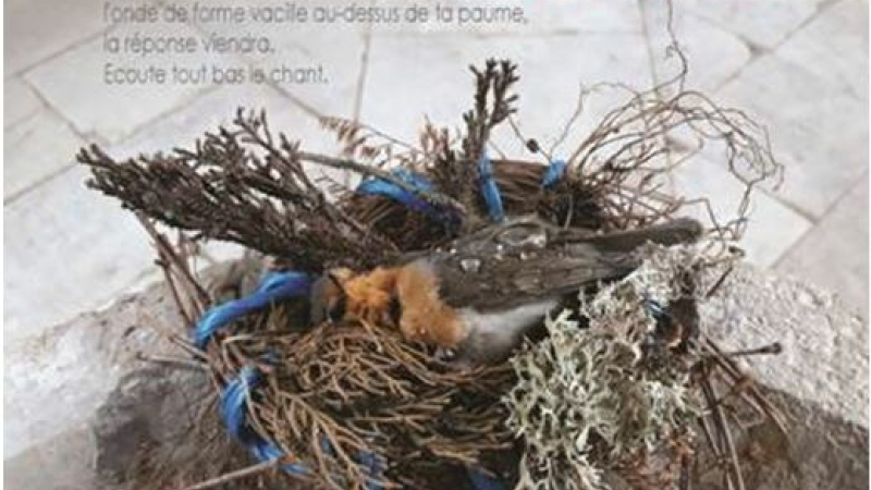  l’Artothèque ne baisse pas les bras