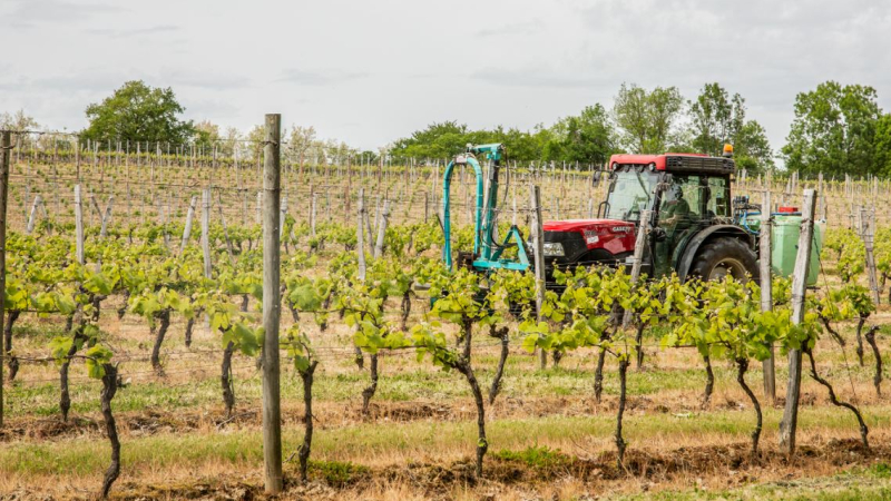 Une Journée Portes Ouvertes adaptée à la crise sanitaire actuelle