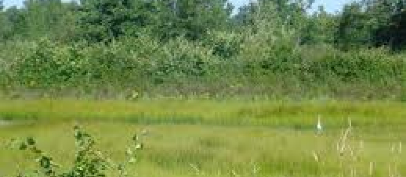 Balades nature pour petits et grands avec le CPIE Pays gersois !