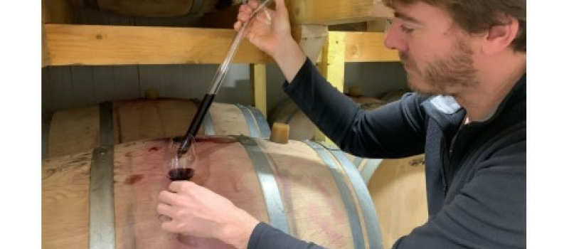 Domaine Le Broca : des projets pour 2021