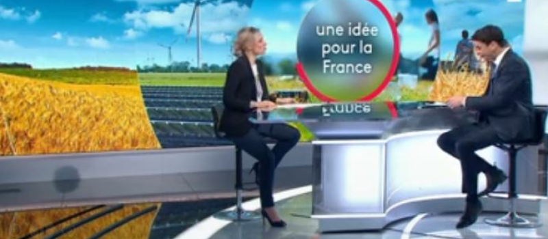 Une idée pour la France