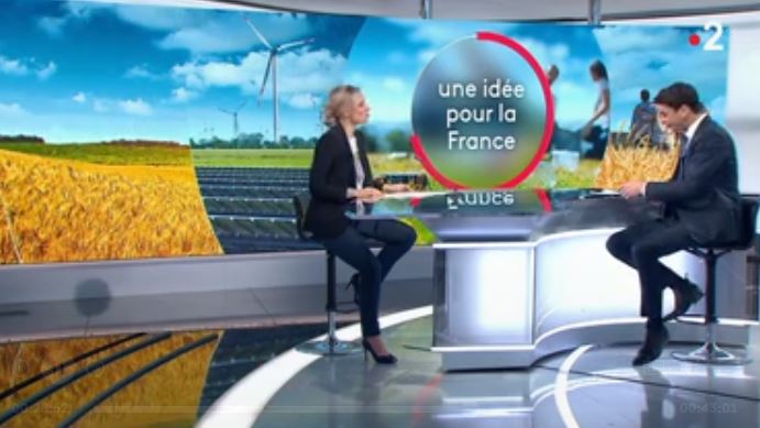 Capture d'écran du 13 h de France 2, le 28 janvier.
