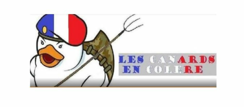 Comment aider les éleveurs en difficulté ?