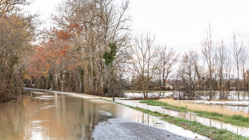 Après Bella et Hortense, c'est au tour de Justine de faire peur