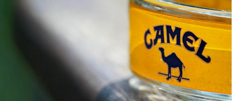 Amateurs de Camel, vous pouvez économiser quelques centimes d'euro avant le 1er février