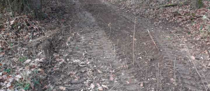 Ouverture de nouveaux chemins de randonnées