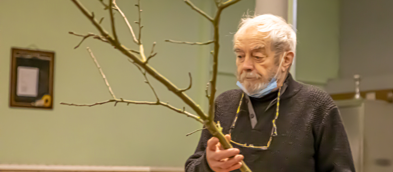 Michel Gauthier initie à la taille des arbres à Perchède  