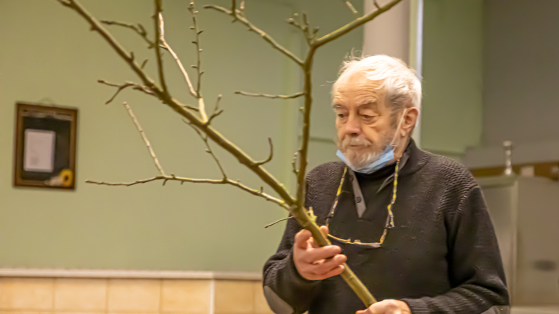 Michel Gauthier initie à la taille des arbres à Perchède  
