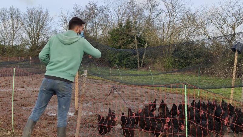 Découvrez La Ferme Enchantée et votez pour elle !