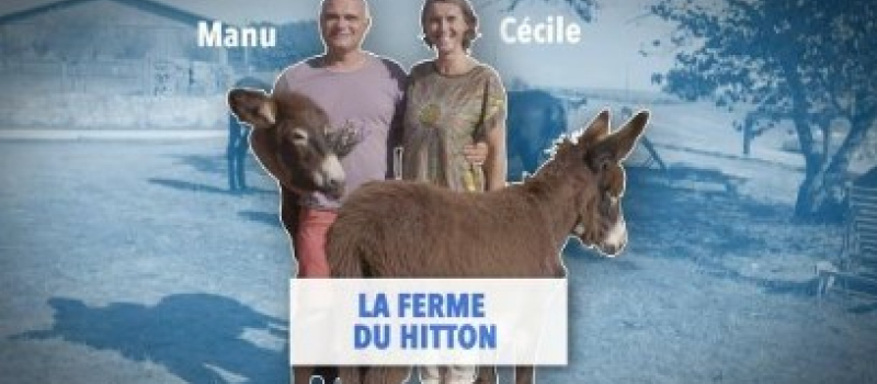 Avez-vous voté pour la ferme du Hitton ?