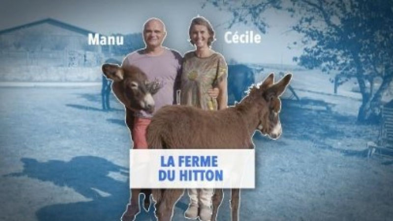 Avez-vous voté pour la ferme du Hitton ?