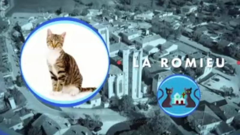 En juillet dernier, une équipe de tournage d'Arte se promenait dans le Gers
